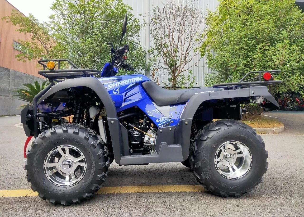Alligator 400
