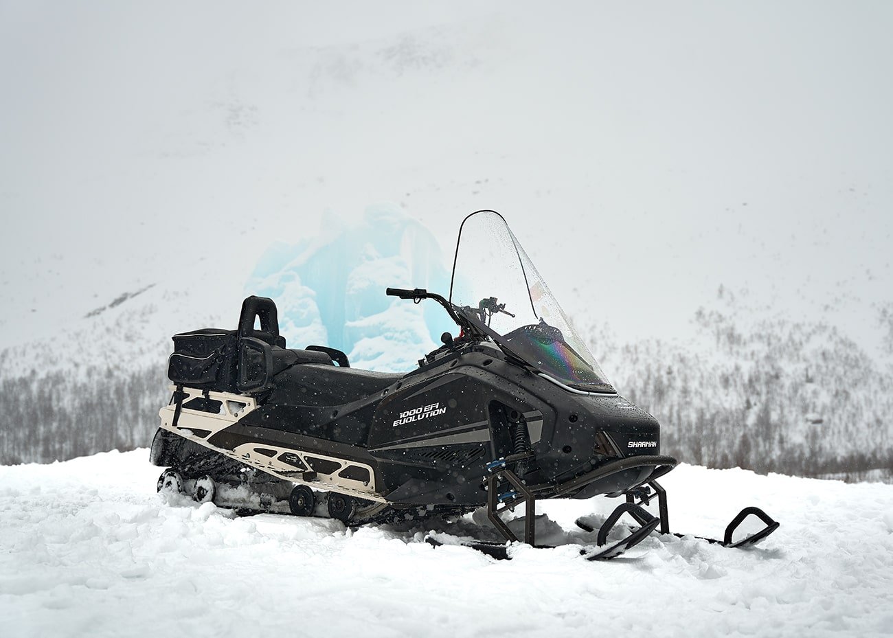 SHP-1000 EFI