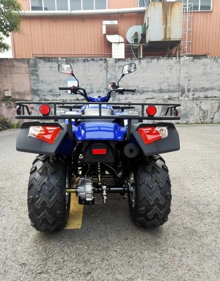 Alligator 400