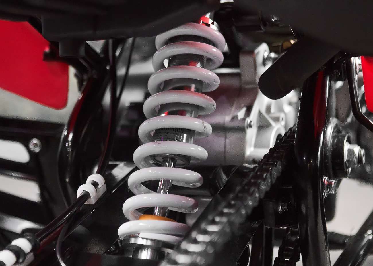 /media/69f1c28114037_image - 2026-04-29T102453.349.jpg