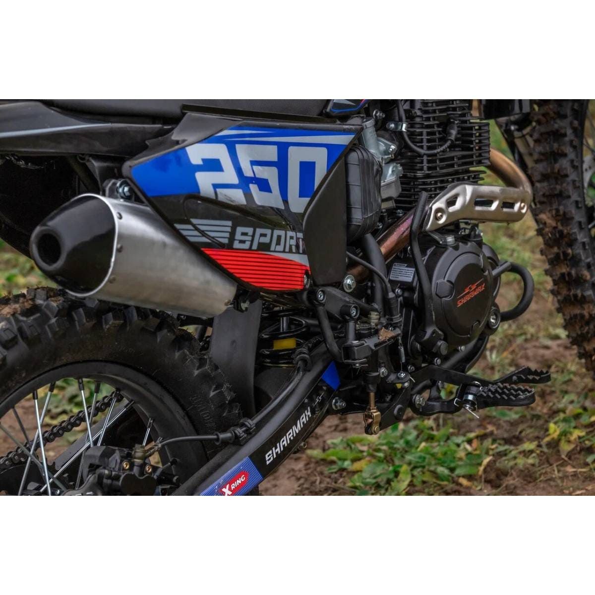 Sport 250 2024