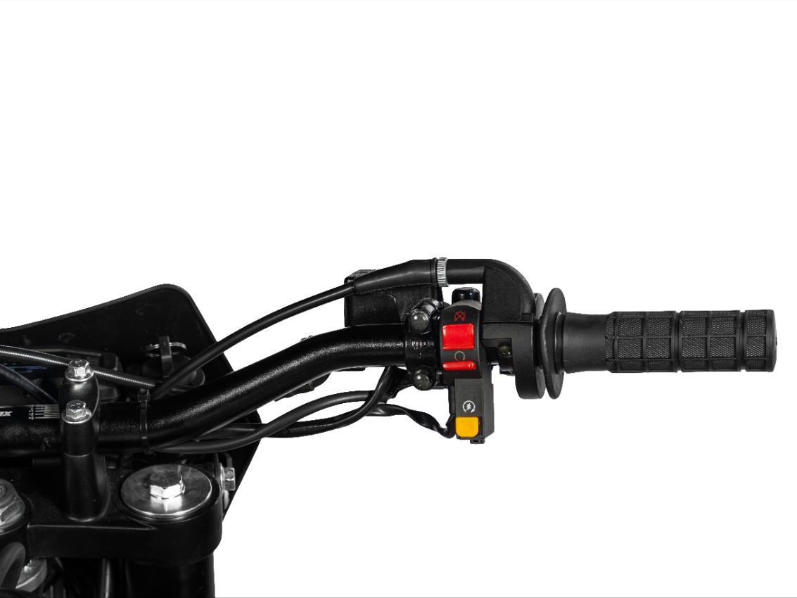 Sport 250 2024