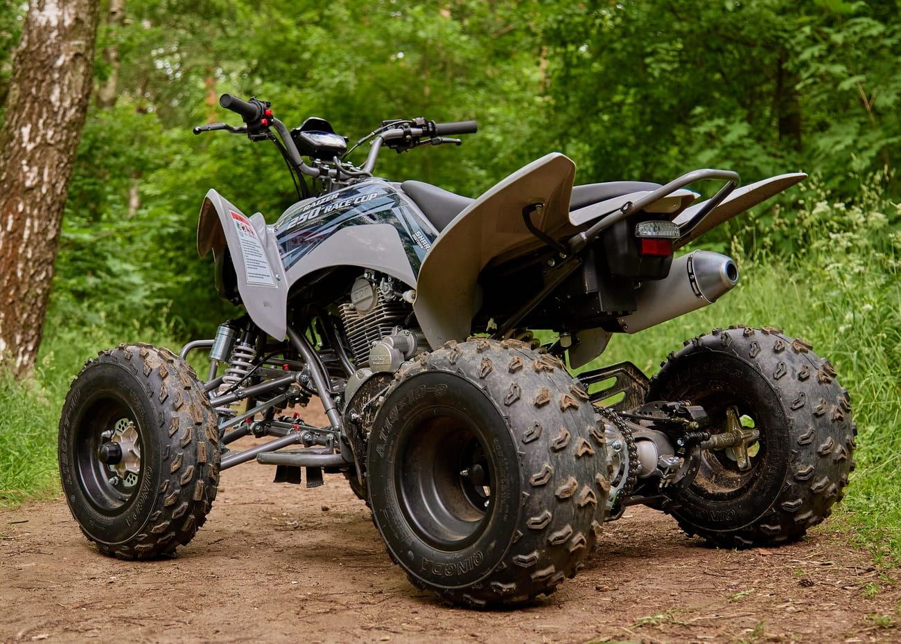 Raizer Race Cup 250