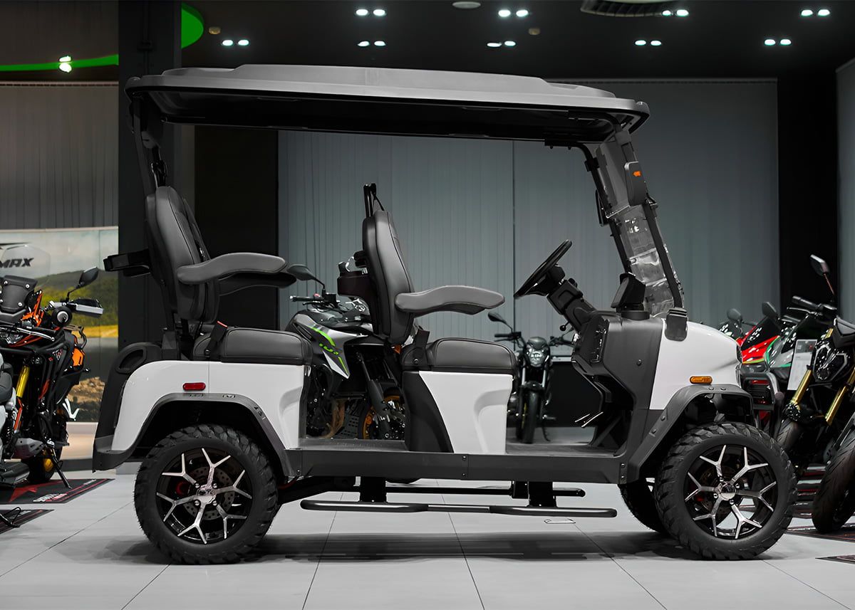 SHARMAX 5000 4 seater Pro