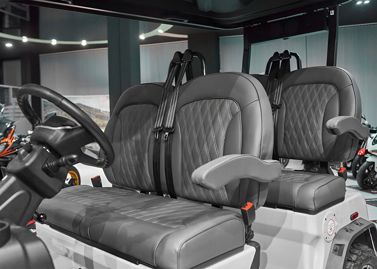 SHARMAX 5000 4 seater Pro