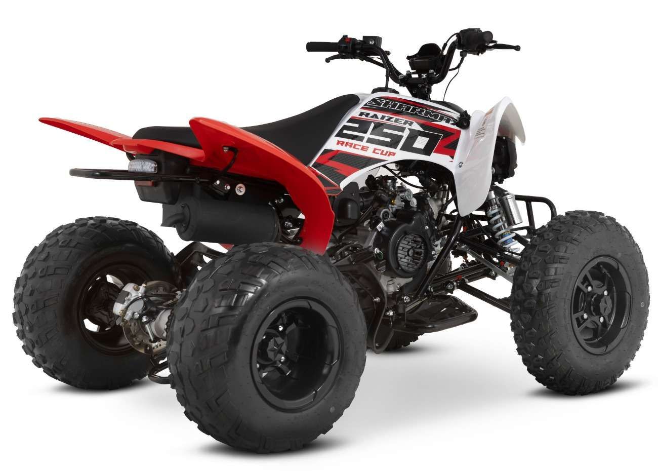 Raizer Race Cup 250