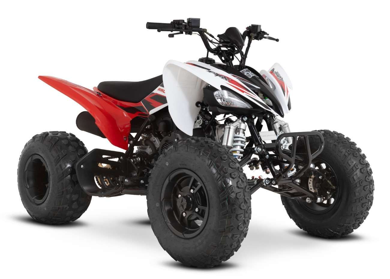 Raizer Race Cup 250
