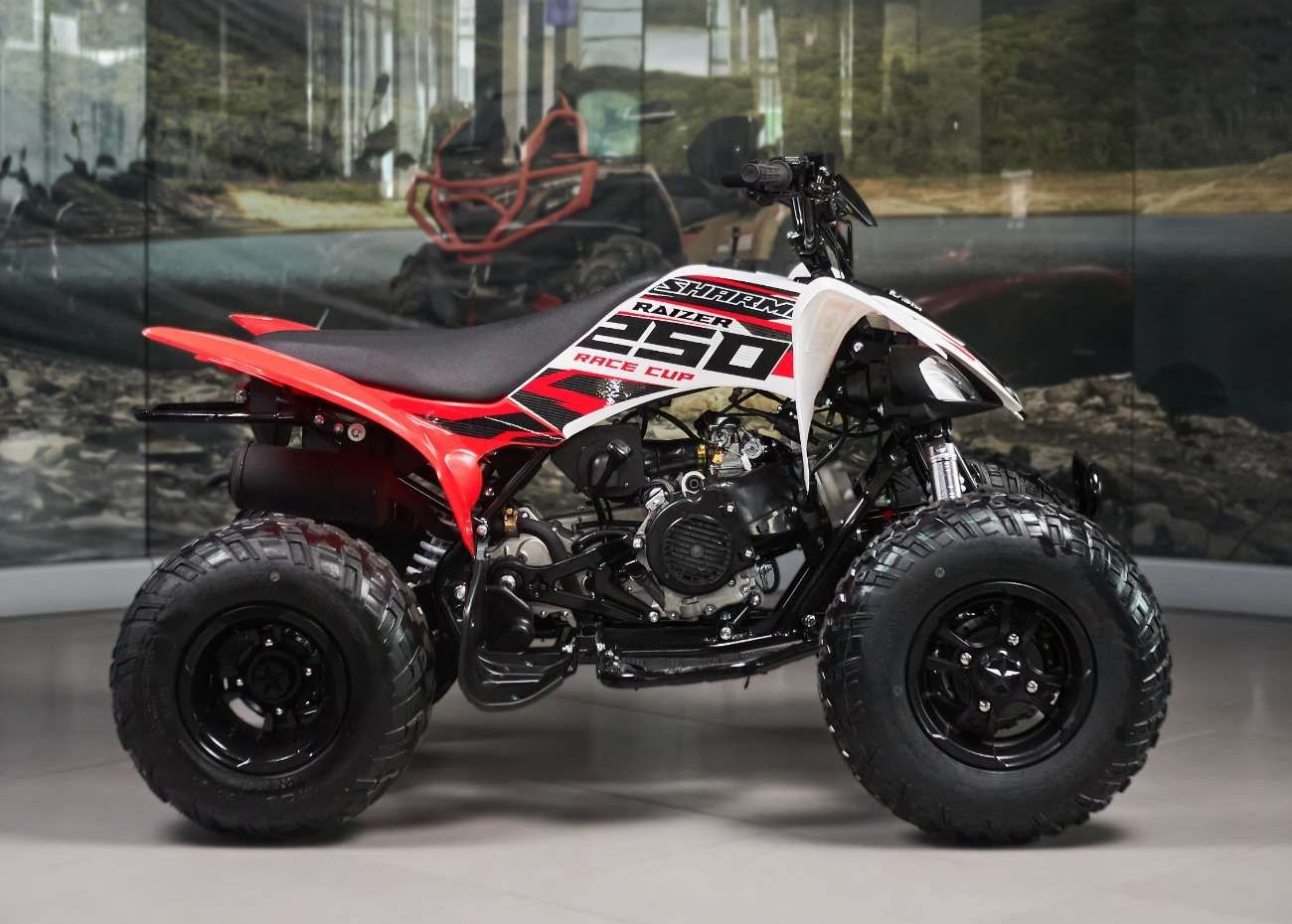 Raizer Race Cup 250