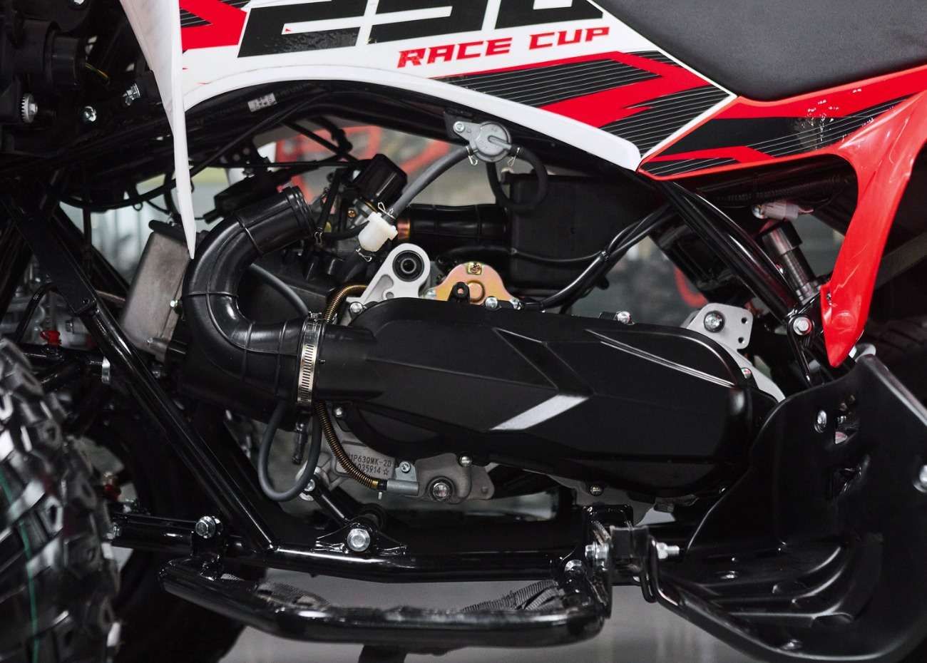Raizer Race Cup 250