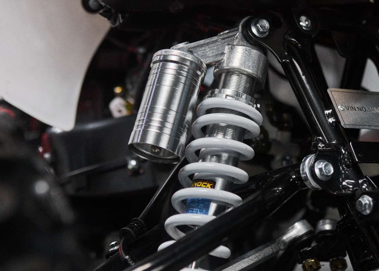 Raizer Race Cup 250