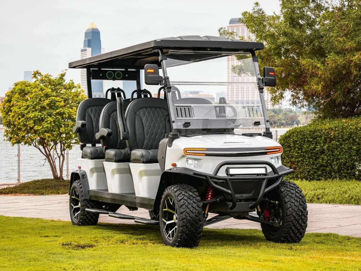 SHARMAX 5000 6 seater Pro