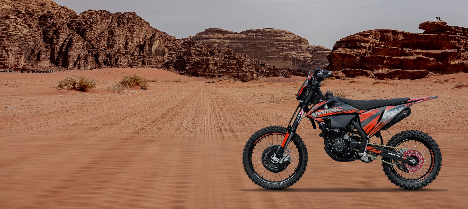 SHARMAX MOTORS DIABLO 320 EFI