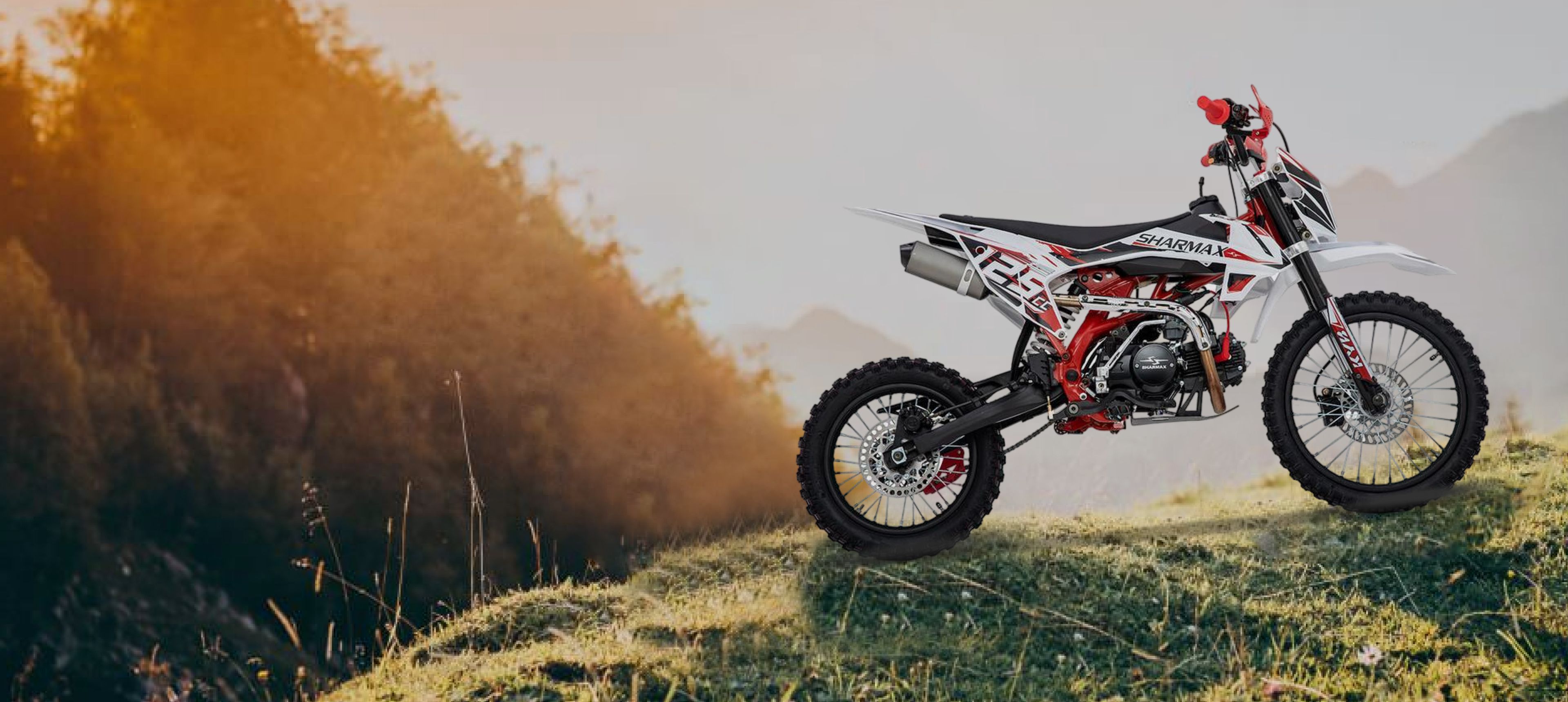PowerMax 125 2022