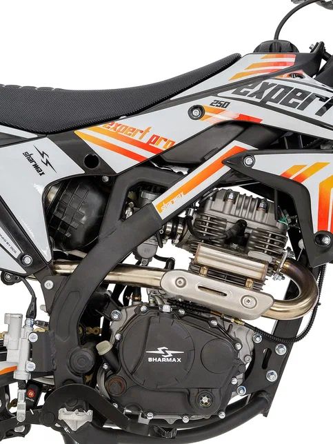 Expert "172" 250 2022