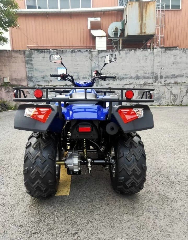 Alligator 400