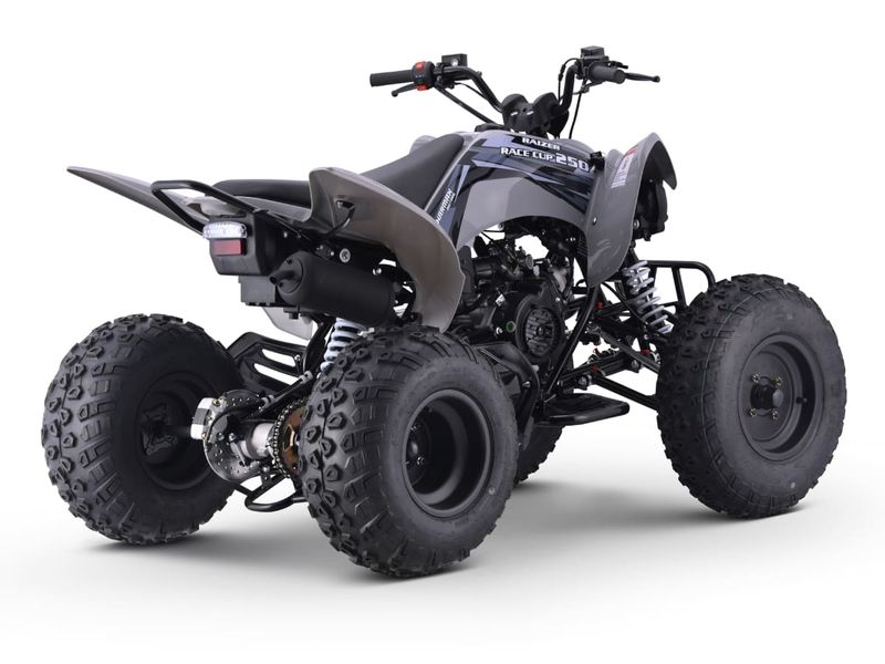 Raizer Race Cup 250
