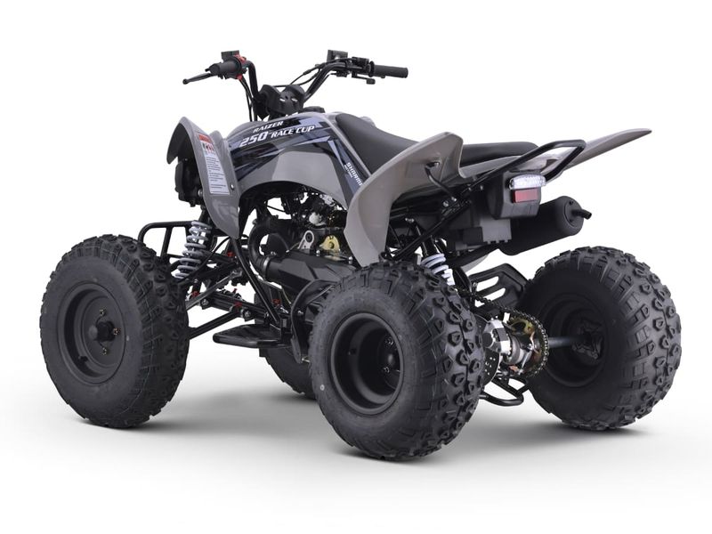 Raizer Race Cup 250
