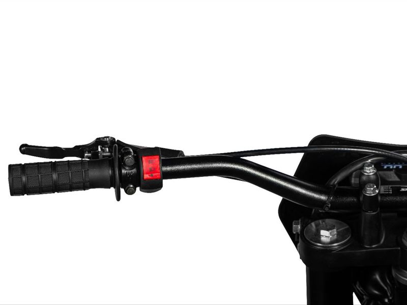 Sport 250 2024