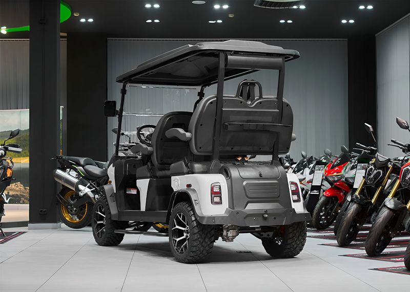 SHARMAX 5000 4 seater Pro