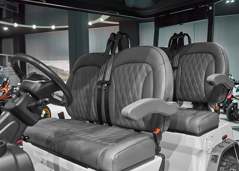 SHARMAX 5000 4 seater Pro