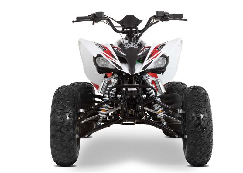 Raizer Race Cup 250