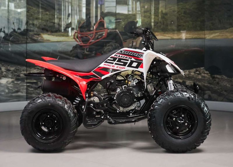 Raizer Race Cup 250