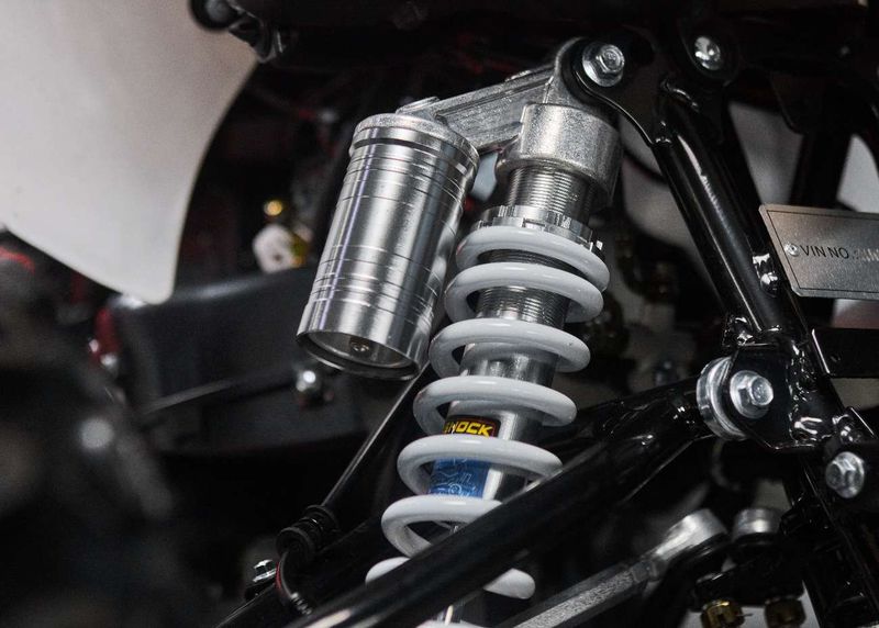 Raizer Race Cup 250