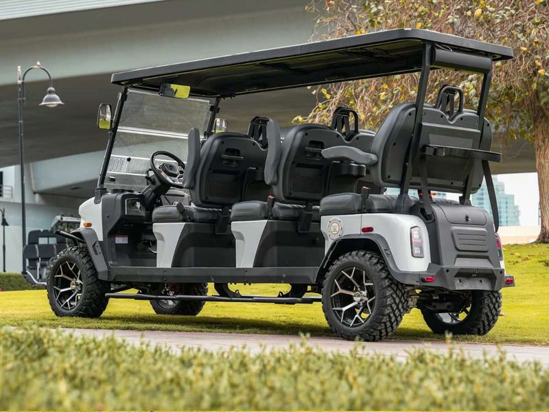 SHARMAX 5000 6 seater Pro