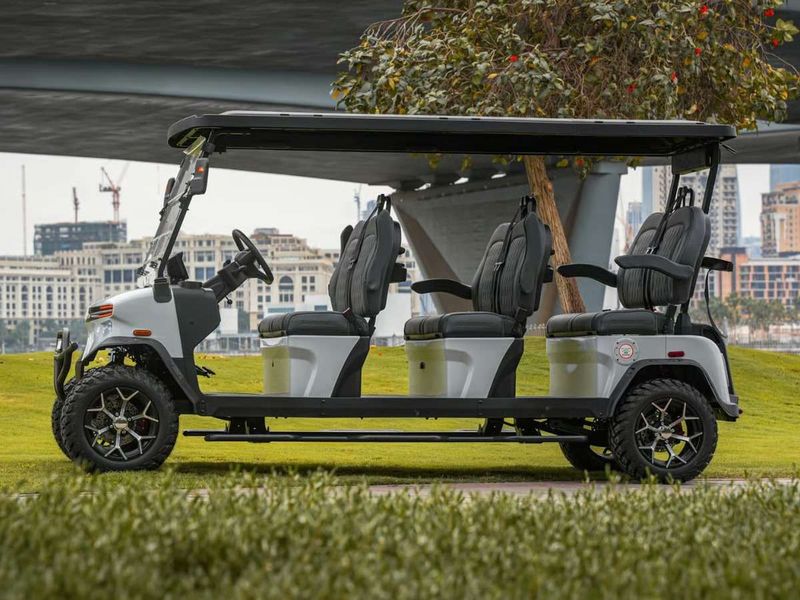 SHARMAX 5000 6 seater Pro